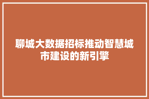 聊城大数据招标推动智慧城市建设的新引擎