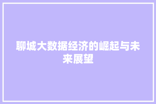 聊城大数据经济的崛起与未来展望