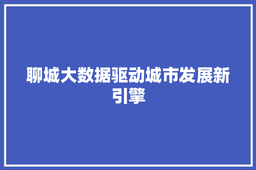 聊城大数据驱动城市发展新引擎