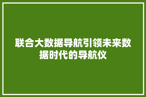 联合大数据导航引领未来数据时代的导航仪
