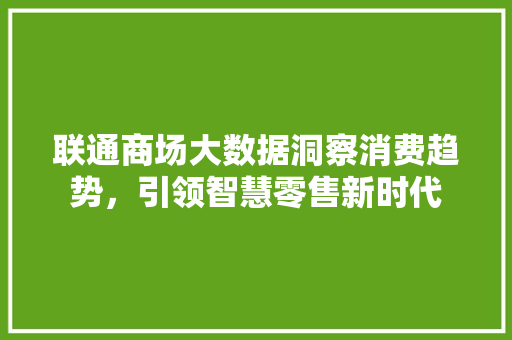 联通商场大数据洞察消费趋势，引领智慧零售新时代