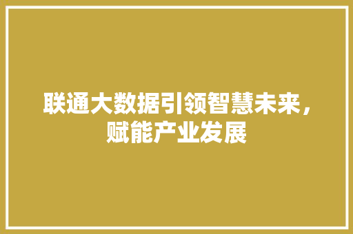 联通大数据引领智慧未来，赋能产业发展