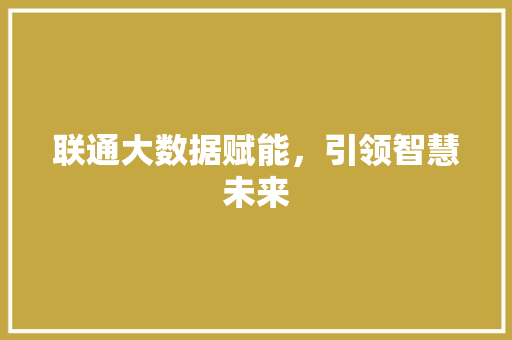联通大数据赋能，引领智慧未来