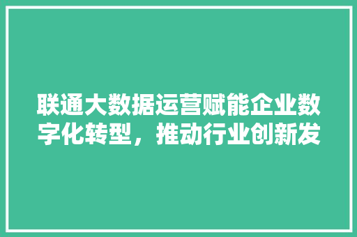 联通大数据运营赋能企业数字化转型，推动行业创新发展