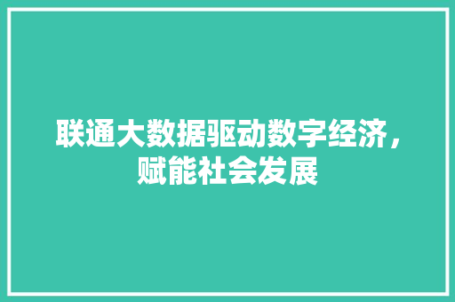 联通大数据驱动数字经济，赋能社会发展