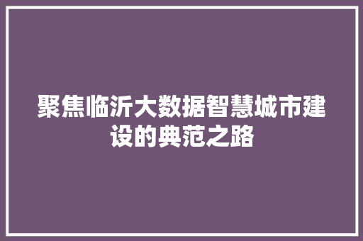 聚焦临沂大数据智慧城市建设的典范之路