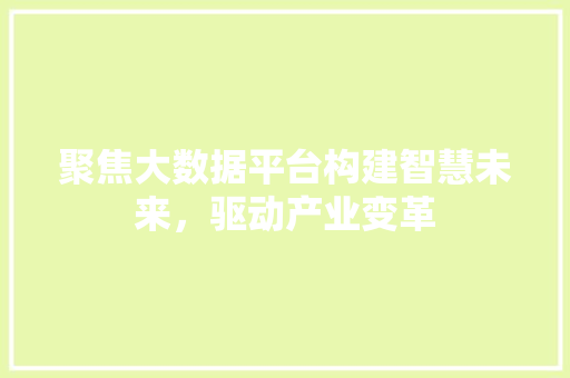 聚焦大数据平台构建智慧未来，驱动产业变革