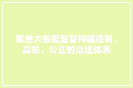 聚焦大数据监督构建透明、高效、公正的治理体系