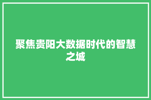 聚焦贵阳大数据时代的智慧之城