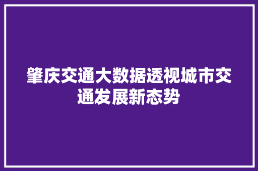 肇庆交通大数据透视城市交通发展新态势