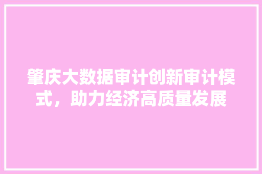 肇庆大数据审计创新审计模式，助力经济高质量发展