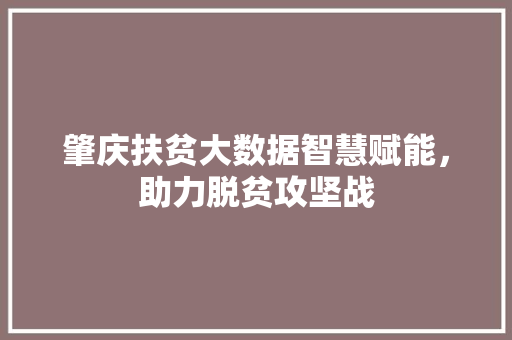 肇庆扶贫大数据智慧赋能，助力脱贫攻坚战
