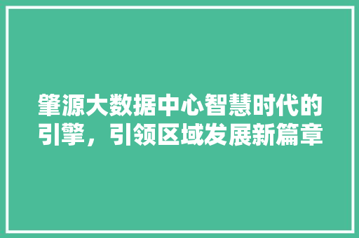 肇源大数据中心智慧时代的引擎，引领区域发展新篇章