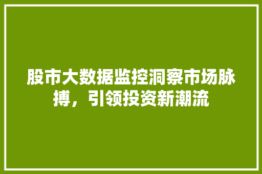 股市大数据监控洞察市场脉搏，引领投资新潮流