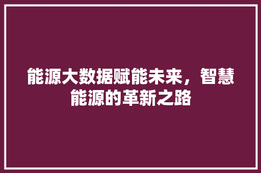 能源大数据赋能未来,智慧能源的革新之路 能源大数据赋能未来,智慧能源的革新之路