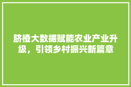 脐橙大数据赋能农业产业升级，引领乡村振兴新篇章