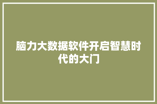 脑力大数据软件开启智慧时代的大门