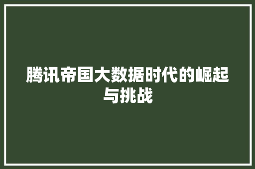 腾讯帝国大数据时代的崛起与挑战