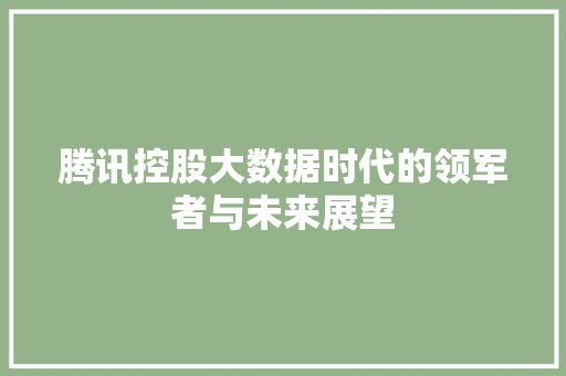腾讯控股大数据时代的领军者与未来展望