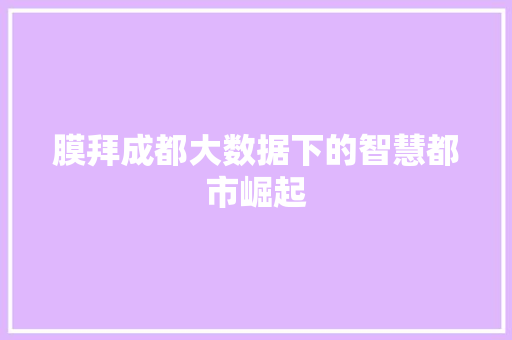 膜拜成都大数据下的智慧都市崛起