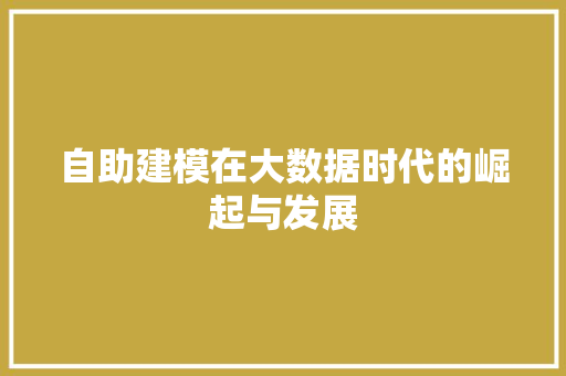 自助建模在大数据时代的崛起与发展
