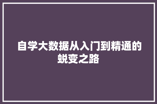 自学大数据从入门到精通的蜕变之路