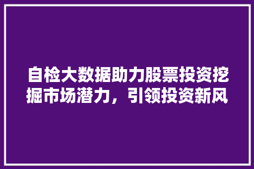 自检大数据助力股票投资挖掘市场潜力，引领投资新风向