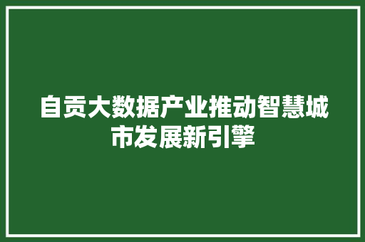 自贡大数据产业推动智慧城市发展新引擎