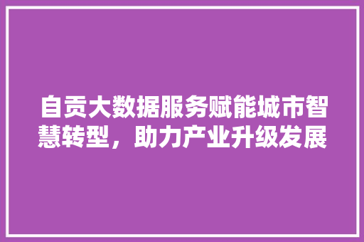 自贡大数据服务赋能城市智慧转型，助力产业升级发展