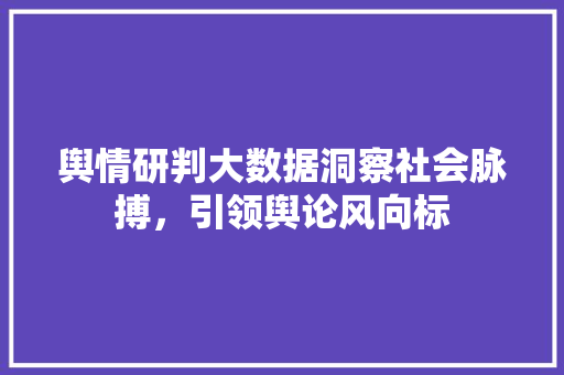 舆情研判大数据洞察社会脉搏，引领舆论风向标