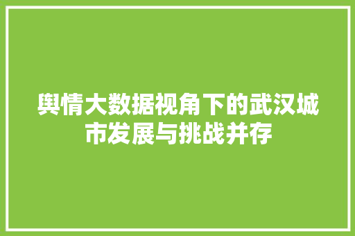舆情大数据视角下的武汉城市发展与挑战并存