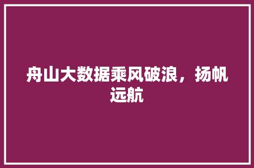 舟山大数据乘风破浪，扬帆远航