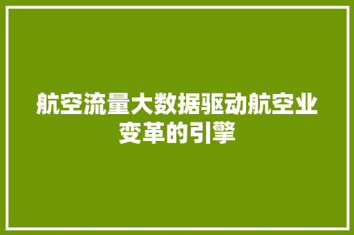 航空流量大数据驱动航空业变革的引擎