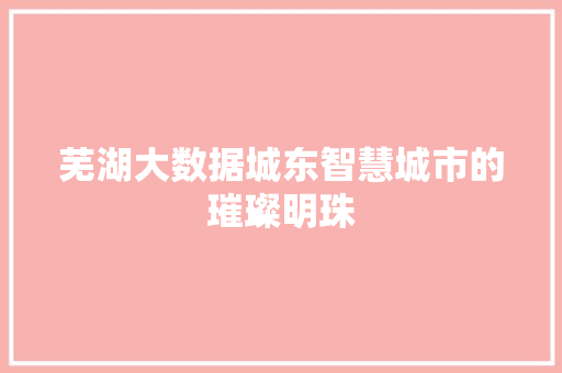 芜湖大数据城东智慧城市的璀璨明珠