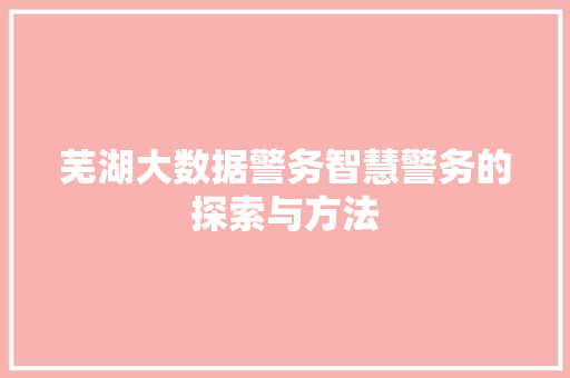 芜湖大数据警务智慧警务的探索与方法