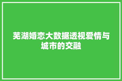 芜湖婚恋大数据透视爱情与城市的交融 操作系统