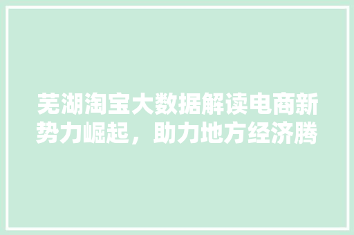 芜湖淘宝大数据解读电商新势力崛起，助力地方经济腾飞