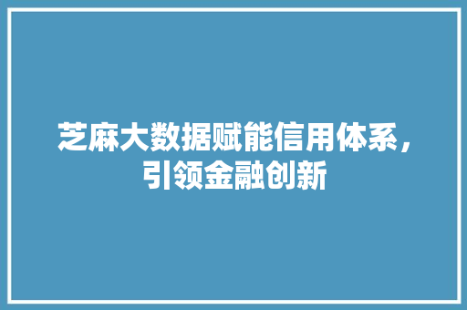 芝麻大数据赋能信用体系，引领金融创新 电脑故障维修