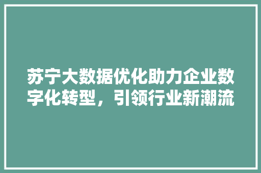 苏宁大数据优化助力企业数字化转型，引领行业新潮流