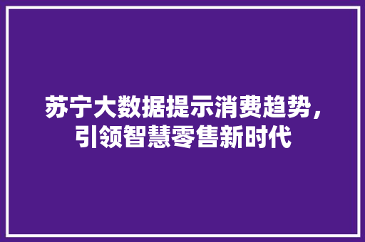 苏宁大数据提示消费趋势，引领智慧零售新时代