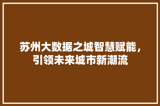 苏州大数据之城智慧赋能,引领未来城市新潮流 苏州大数据之城智慧赋能,引领未来城市新潮流
