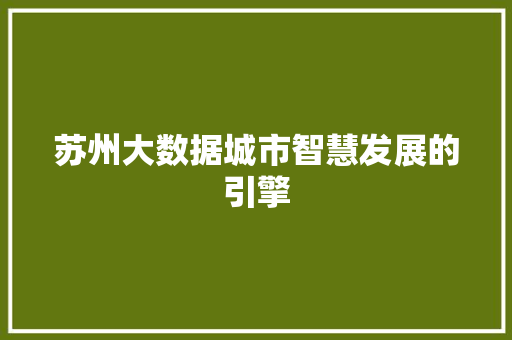 苏州大数据城市智慧发展的引擎