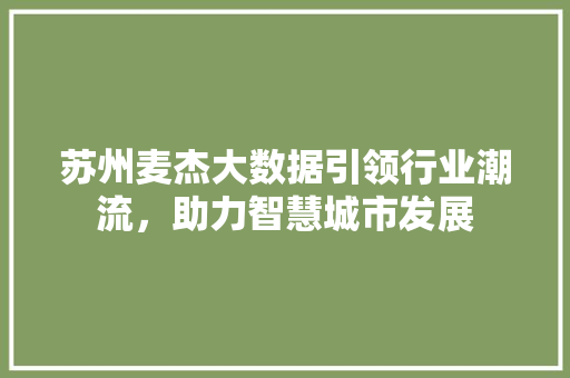 苏州麦杰大数据引领行业潮流，助力智慧城市发展