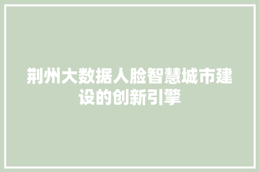 荆州大数据人脸智慧城市建设的创新引擎