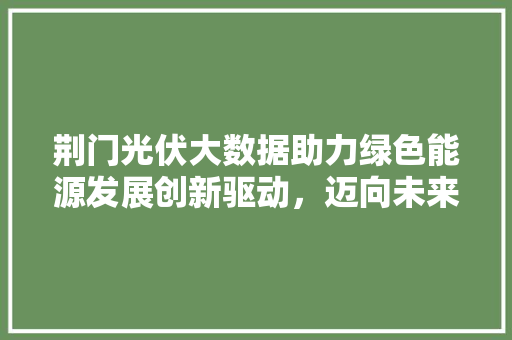 荆门光伏大数据助力绿色能源发展创新驱动，迈向未来