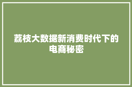 荔枝大数据新消费时代下的电商秘密