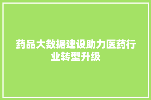 药品大数据建设助力医药行业转型升级
