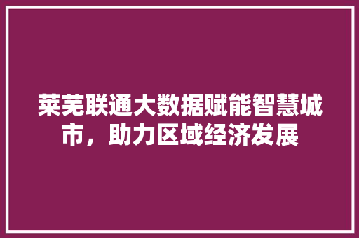 莱芜联通大数据赋能智慧城市，助力区域经济发展