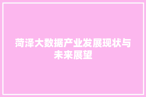 菏泽大数据产业发展现状与未来展望