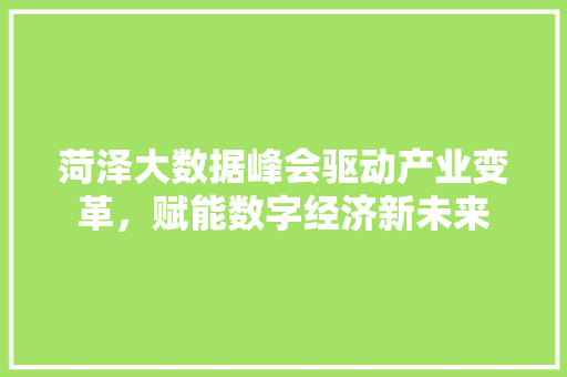 菏泽大数据峰会驱动产业变革，赋能数字经济新未来